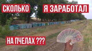 СКОЛЬКО Я ЗАРАБОТАЛ НА ПЧЕЛАХ?