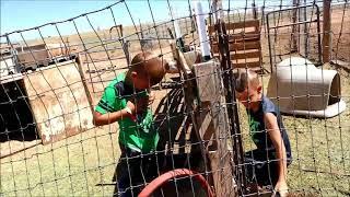 Ryland and Ryland cleaning water troughs