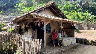 Tinggal Sendiri Menikmati Masa Tua Di Saung Sawah Tanpa Listrik Pinggir Hutan Jauh Kemana Mana