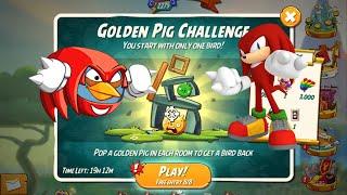 Angry Birds 2 Sonic Golden Pig Challenge Room 7 Blues