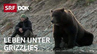 Mit Bärenforscher David Bittner in Alaska  Leben unter Bären  Doku  SRF Dok