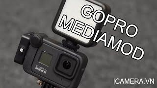 Gopro Media Mod phụ kiện gắn mic đèn cho Hero 8 Black