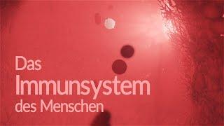 Immunsystem des Menschen - Aufbau und Funktion Animation