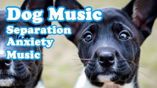Calm your dog down Sleep music Separation Anxiety Music Relaxing Dog Music