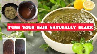 Turn your grey hair naturally color your hair black using henna-amla pack