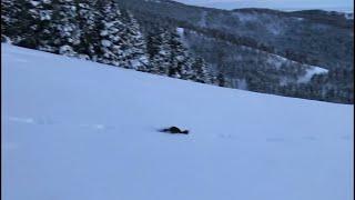 Pine Marten Chasing Bunny Through Thick Snow  ViralHog