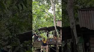 Harunya melihat keluarga ini bertahan hidup tinggal di gubuk hutan #hurahuratv