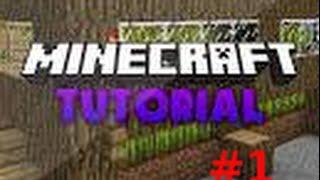 Lets Tutorial #1 - So installiert man TooManyItems ohne Forge HD German