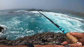 Fishing the deep blue sea from shore CATCH AND COOK