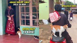 MASYAALLAH Kucing Oren Ini Selalu Ikut Ke Masjid Bareng Majikannya Naik Sepeda Motor Kucing Toren