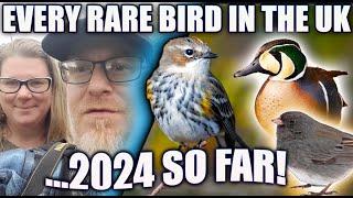 EVERY RARE BIRD IN THE UK 2024 SO FAR