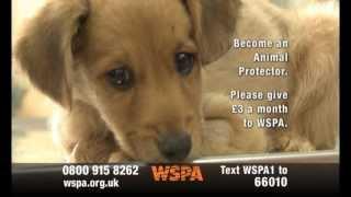 WSPA TV advert Baby 90sec