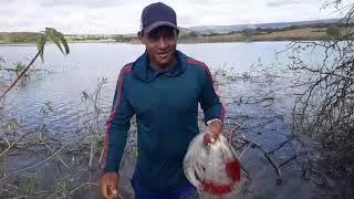 mais um dia de pesca bom de mais