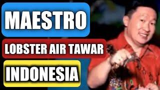 13 MAESTRO Lobster Air Tawar Indonesia CUNCUN SETIAWAN