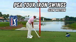 Slow Motion Golf Swings On The PGA Tour  2024