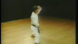 2.13 Sochin Kata by Kanazawa Shotokan Karate