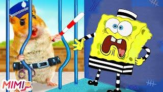  Hamster Maze SpongeBob Escapes Prison Challenge  HAMSTER MIMI