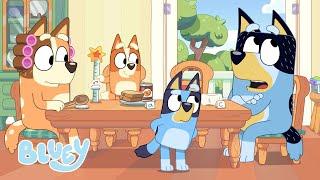 Who Fluffied?  Family Meeting - Series 3  Bluey