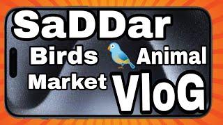 SaddaR Animals Markets Visit Vlog Full enjoyment ke sath