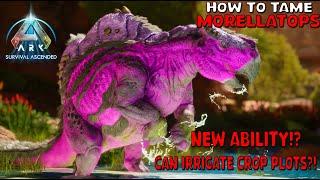 Ark Survival Ascended  How To Tame Morellatops - Scorched earth exclusive New ability