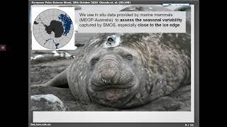 198 SMOS Sea Surface Salinity In The Antarctic