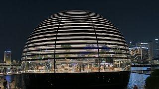 Apple Store at Marina Bay Sands in Singapore  Visiting Places in Singapore