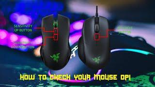 How to Check Your Mouse DPI