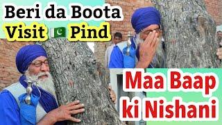 Meri Maa Baap ki Nishani Beri Da Boota  Sardar ji Visits Pakistani Pind After 75 years