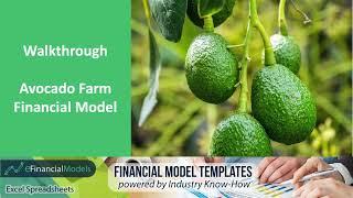 Walkthrough for Avocado Farm Financial Model Template