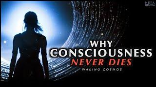 Why Consciousness is Immortal  The Philosophical Proof of Life After Death