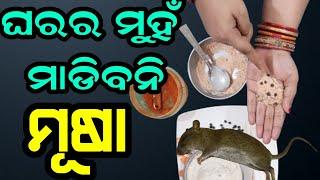 ମୂଷା ଘରୁ ବାହାର କରିବାର ଜବରଦସ୍ତ ଉପଚାର How to Remove Rats from Home by this Amazing home Remedy