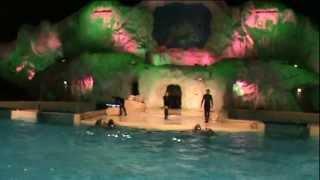 Dolphin Show Dolfinarium Harderwijk Full Show