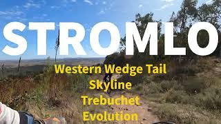 Mt. Stromlo MTB - Skyline and Trebuchet
