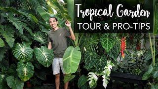 DREAM BIG in a tiny Tropical Garden 280 sqft + Pro Gardening Tips ft. the legendary Farren Wayne