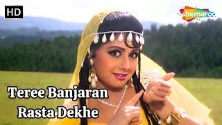 Teree Banjaran Rasta Dekhe  तेरी बंजारन रस्ता देखे  Banjaran 1991  Sridevi  Alka Yagnik Hits