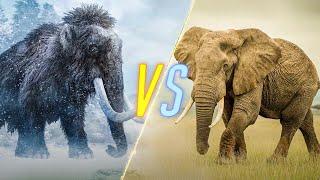 Woolly Mammoth VS Elephant