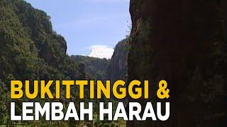 Dari Bukittinggi menuju Lembah Harau  JELAJAH