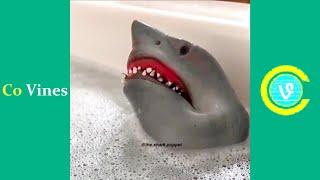 Try Not To Laugh Watching Shark Puppet Compilation  Funny Shark Puppet TikTok Videos