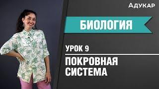 Покровная система человека Биология ЦТ ЕГЭ