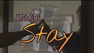 zedd Alessia Cara - Stay MV reverse