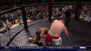 Tim Sylvia VS Ray Mercer