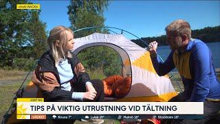 Tälta i Sverige – det här måste du veta - Nyhetsmorgon TV4