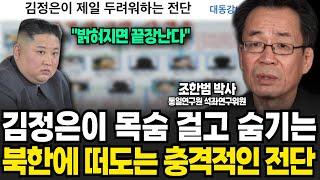 밝혀지면 끝장난다 김정은이 목숨 걸고 숨기는 북한에 떠도는 충격적인 전단 내용 조한범 박사  3부