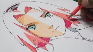 How to Draw Sakura Haruno Step by Step - Naruto Shippuden