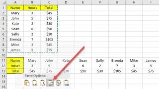 How to Convert Rows Into Columns and Vice versa in Microsoft Excel