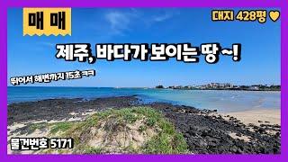 제주 표선해수욕장 바다가 보이는 땅 매매 카페 주택 별장 등으로 추천하는 토지입니다