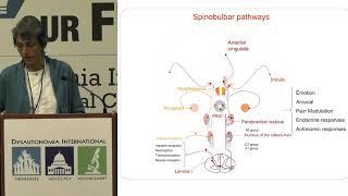 Chronic Pain Management in Dysautonomia - Dr. Paola Sandroni