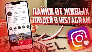 Как накрутить лайки от живых людей в Instagram?