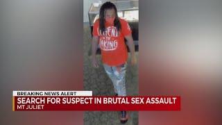 Search for suspect in brutal sexual assault