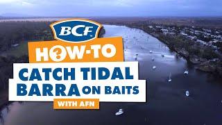 Catch Tidal Barra Barramundi on Baits with AFN - BCF How To